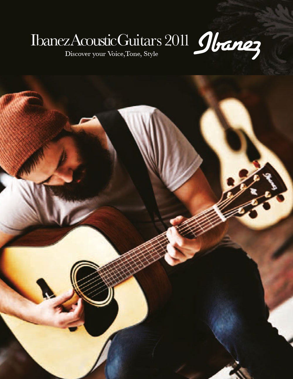 2011 Ibanez Acoustic