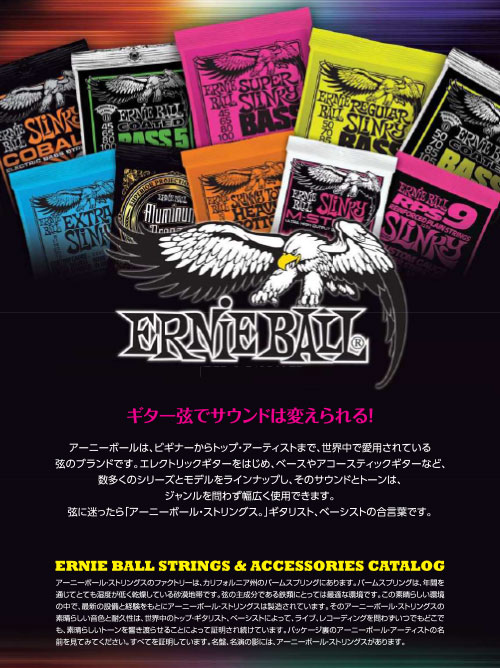 Ernie Ball Accessories 2014 (Japan)
